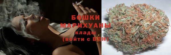 гидропоника Богданович