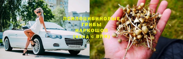 гидропоника Богданович