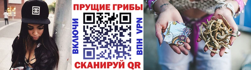 Псилоцибиновые грибы Psilocybe  Богородск 